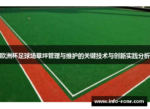 欧洲杯足球场草坪管理与维护的关键技术与创新实践分析