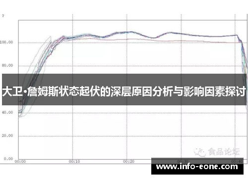 大卫·詹姆斯状态起伏的深层原因分析与影响因素探讨