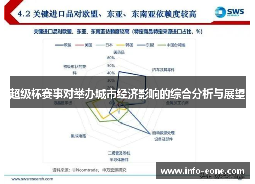 超级杯赛事对举办城市经济影响的综合分析与展望