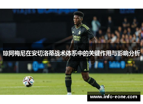 琼阿梅尼在安切洛蒂战术体系中的关键作用与影响分析