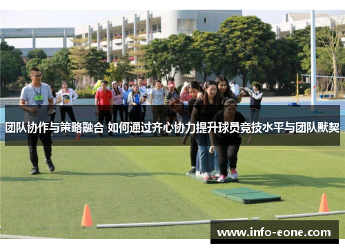 团队协作与策略融合 如何通过齐心协力提升球员竞技水平与团队默契