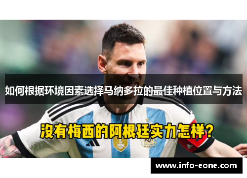 如何根据环境因素选择马纳多拉的最佳种植位置与方法